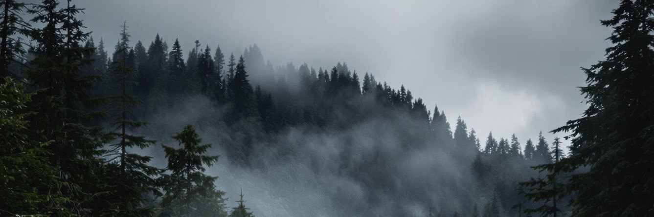 SebasRsm's profile banner image