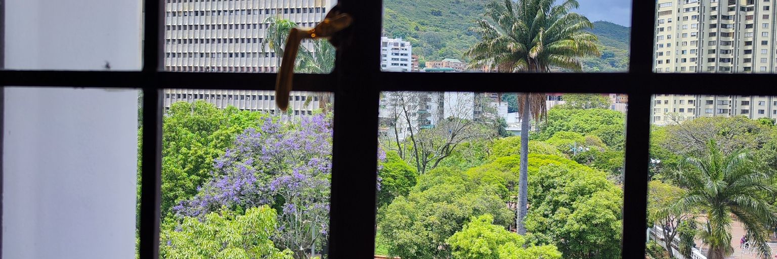 GuerreroIsabel's profile banner image