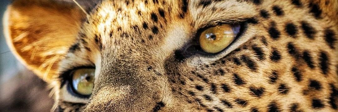 allzami25's profile banner image