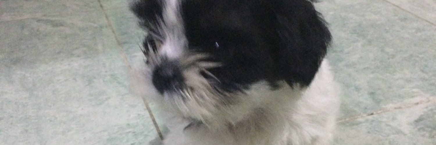 AdrianAcapuyan's profile banner image