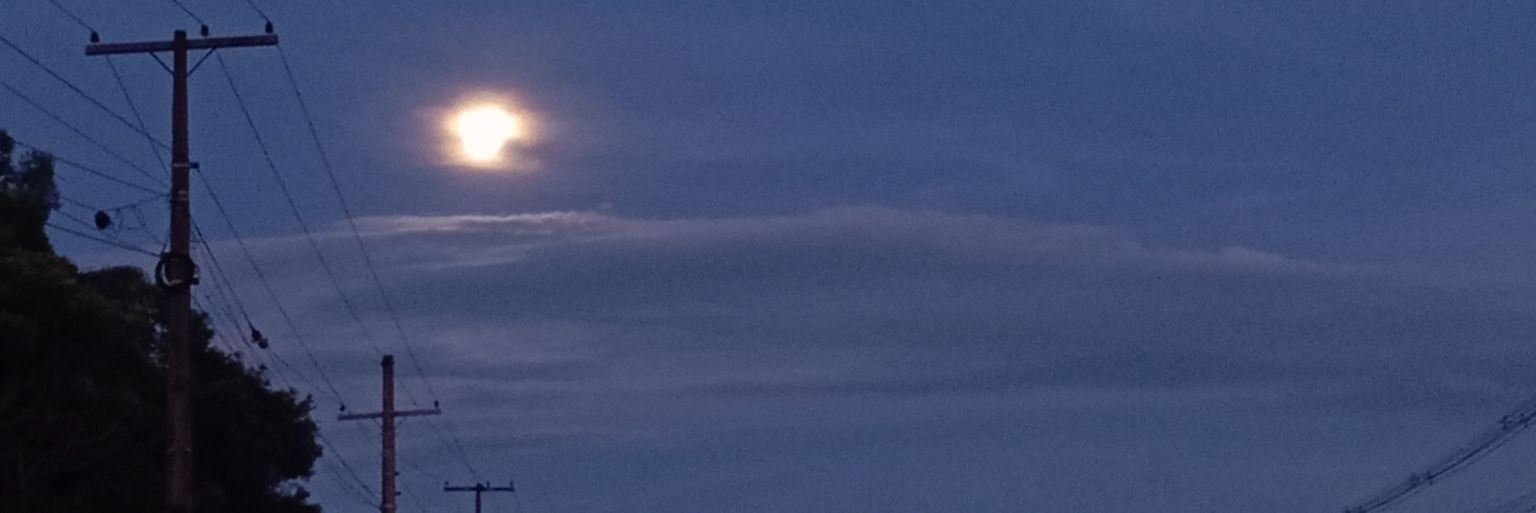 myegg16's profile banner image