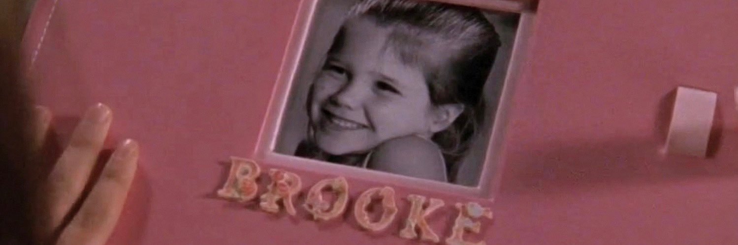 brumi diaries banner