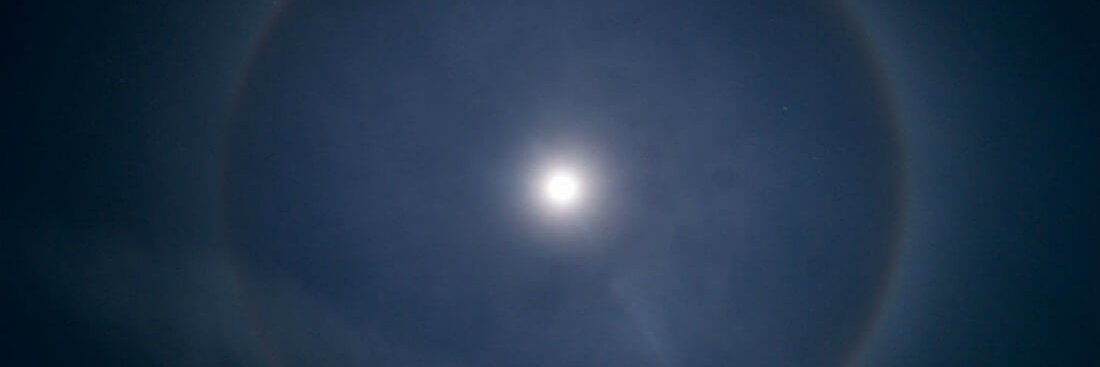 Moonlit Monkey banner