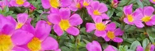 hirea681's profile banner image