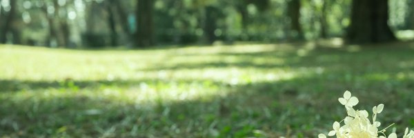 kokage_lumiere Profile Banner