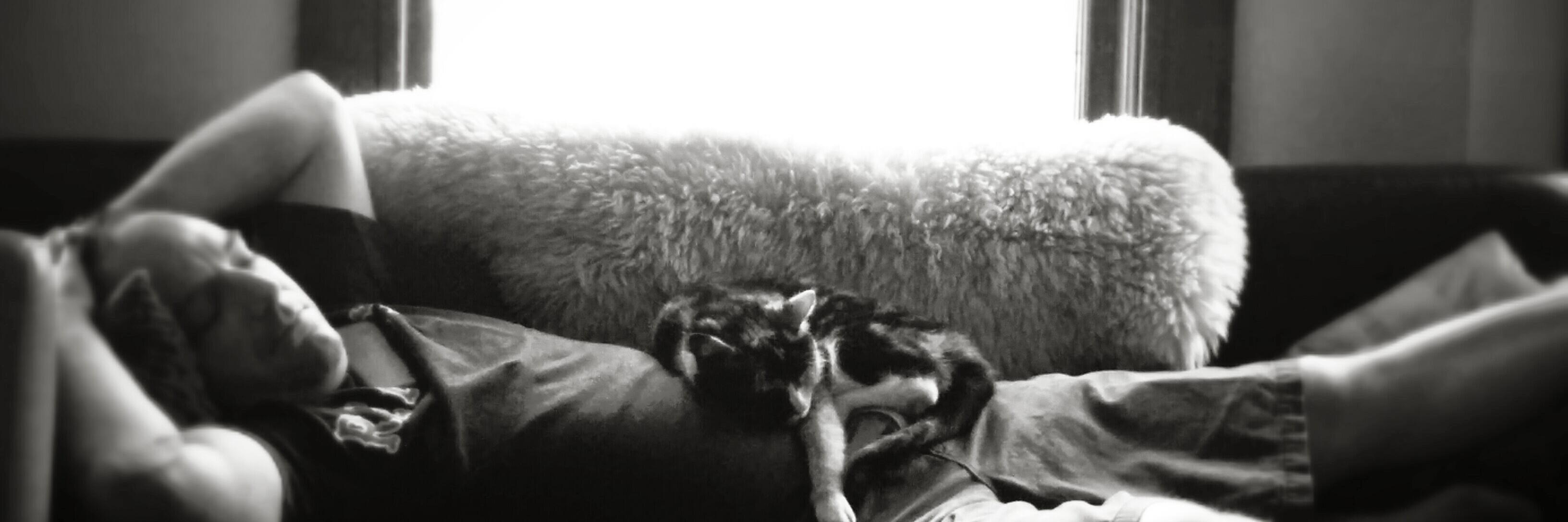 Stripey "@meow.social" Type banner