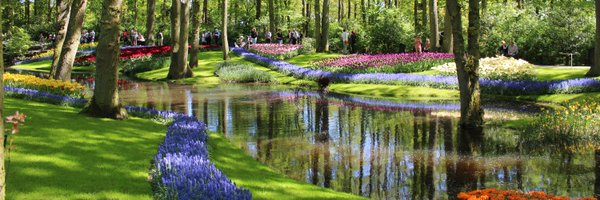 HortiPlant Profile Banner