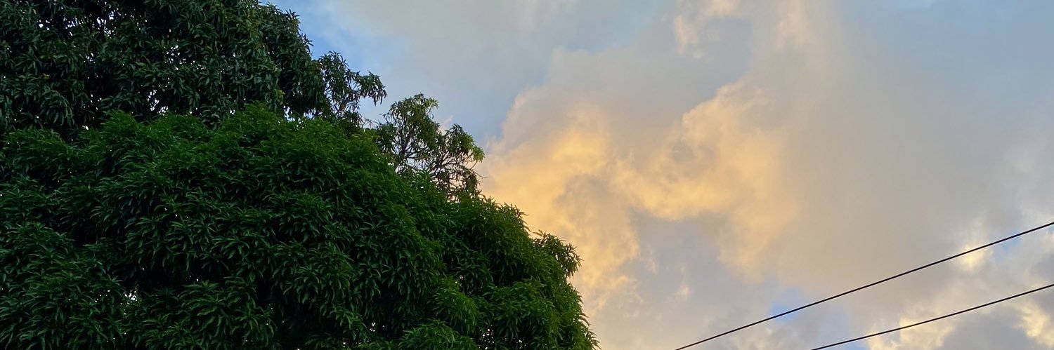 adolfopsol's profile banner image
