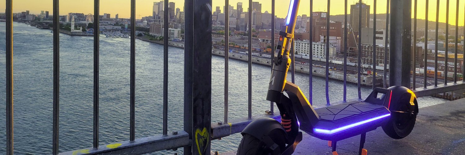 .............. 🕊️ banner