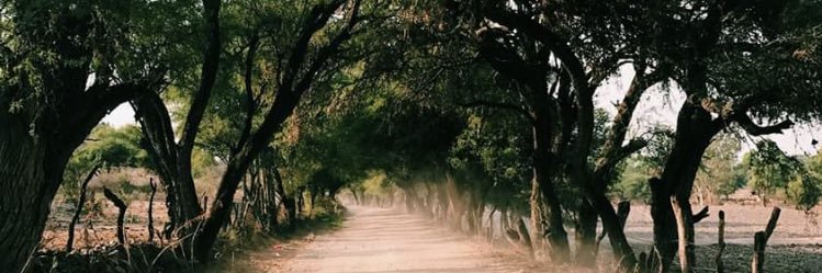 michinitwo's profile banner image