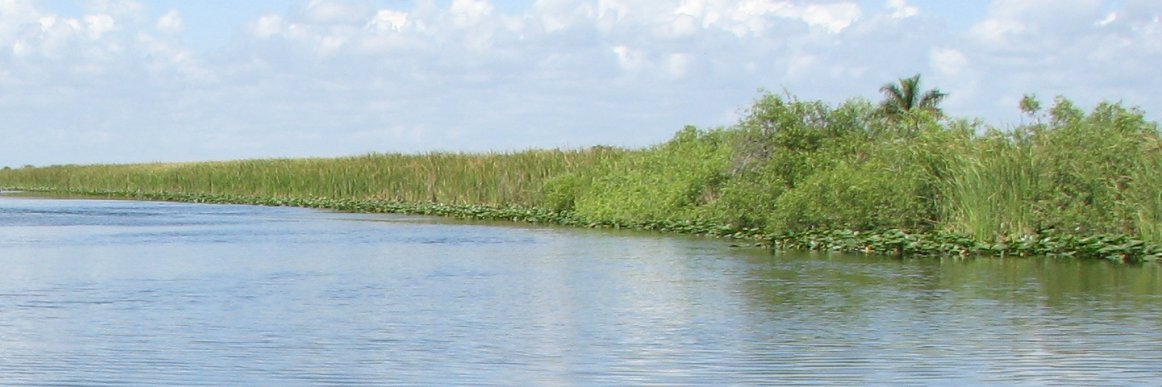 Bebe (b-b) Chang banner