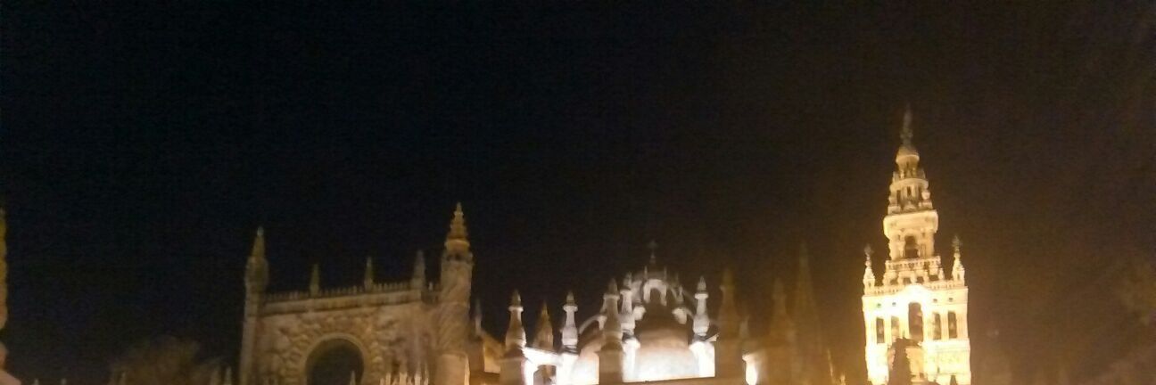 Mar Elena banner