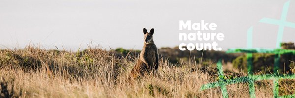 Accounting for Nature Profile Banner