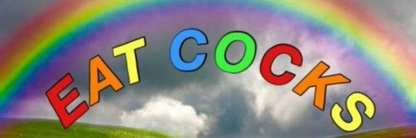 Reinguy2 Profile Banner