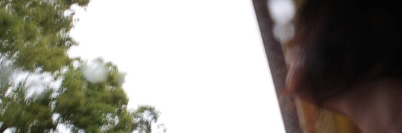 10025_freedom's profile banner image