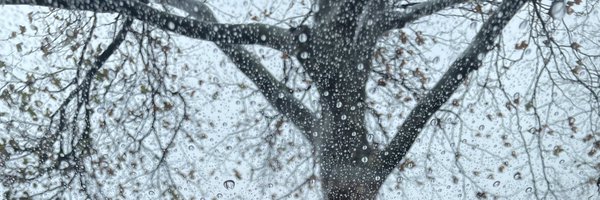 kcmesa Profile Banner