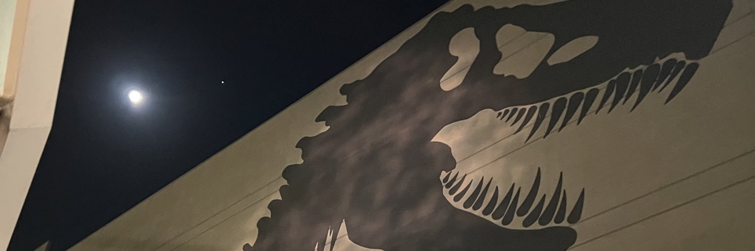 nothisisliz's profile banner image
