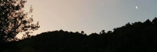 faewriter Profile Banner