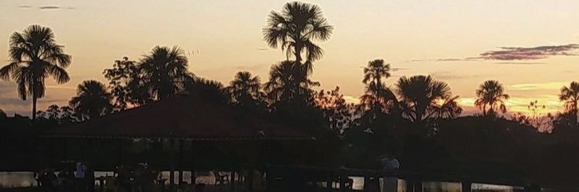yurimullerf's profile banner image