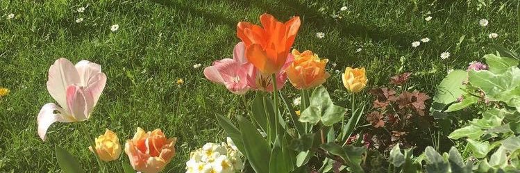 💘 banner