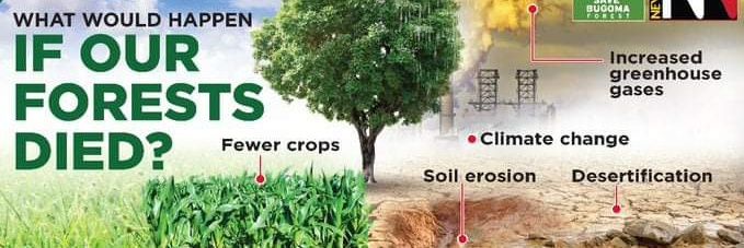 Youth For Green Communities (YGC).'s banner