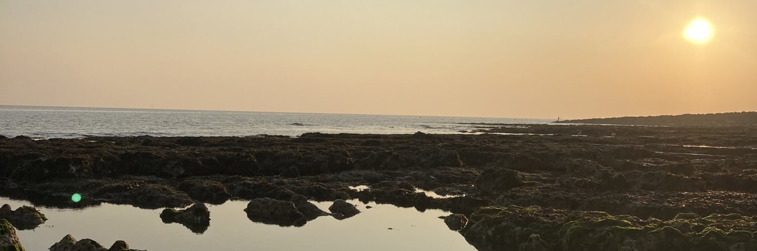 Natasha Green banner