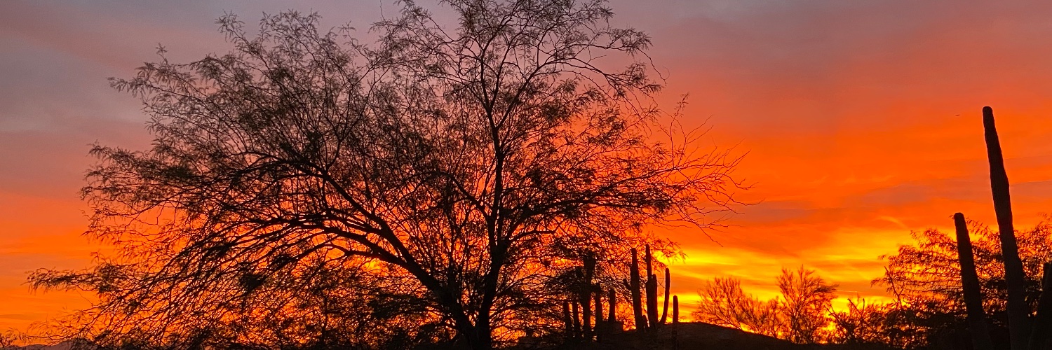 Warren Adelman banner