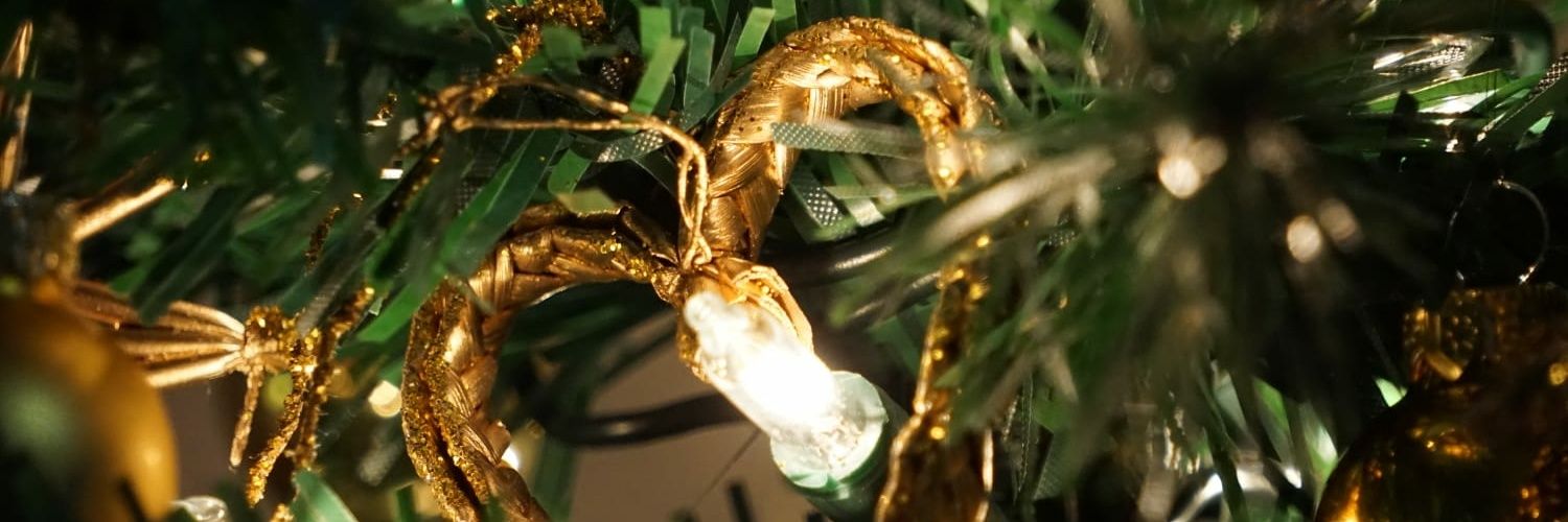 MNRao37's profile banner image