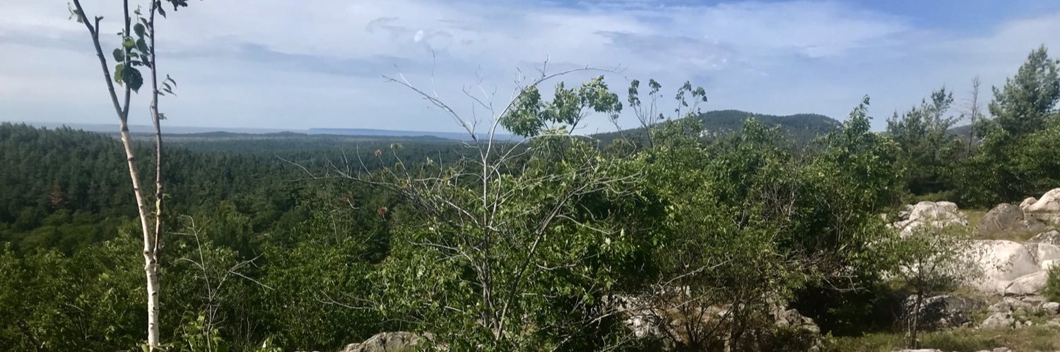 Will Spaetzel banner