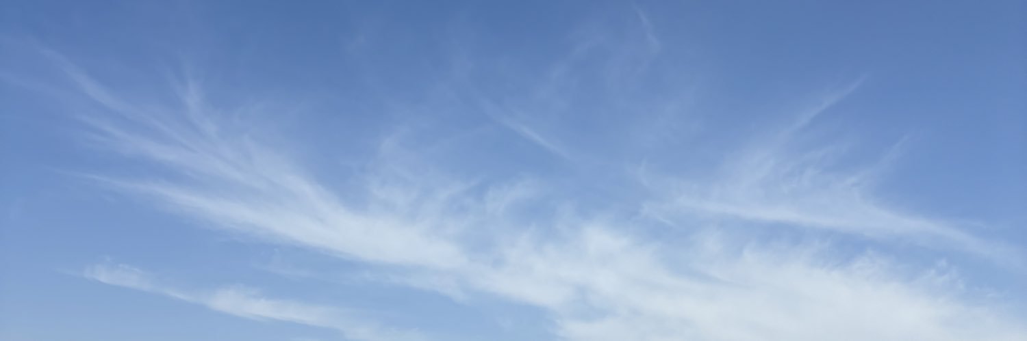 rivaa the smoe banner