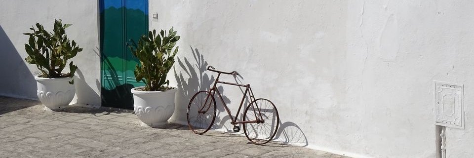 Fabrizio Defilippi banner