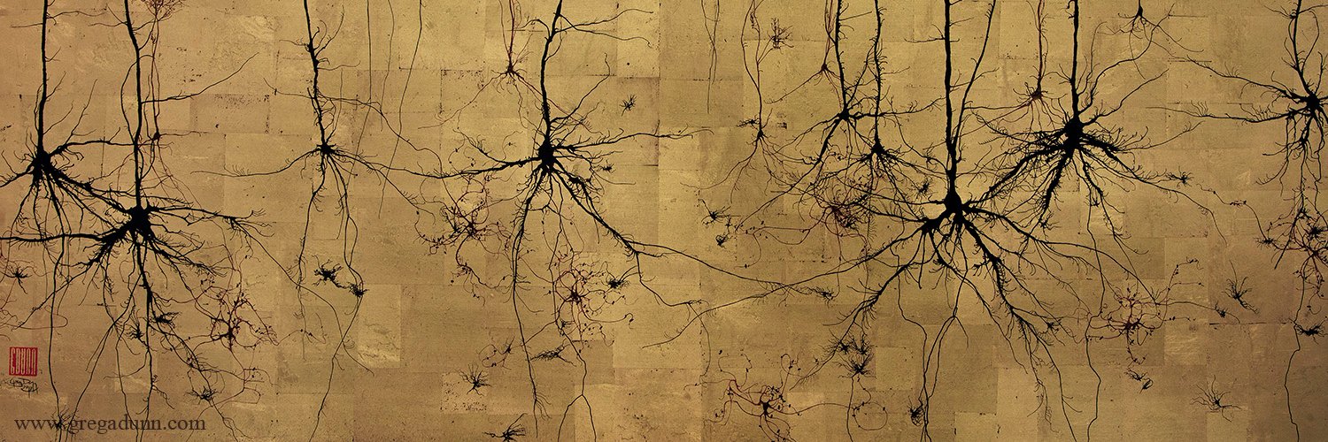 Brain Rhythms and Cognition Lab's banner