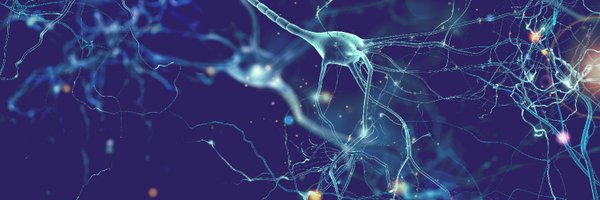 brainteaser2020 Profile Banner