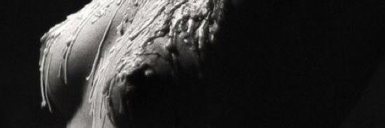 GEORTHEO's profile banner image