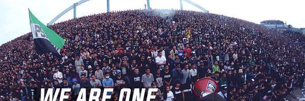 pepes806's profile banner image