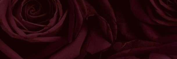 ayurprasatya's profile banner image