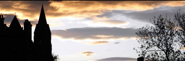 Timothycho08 Profile Banner