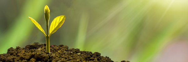 PlantSciRes Profile Banner