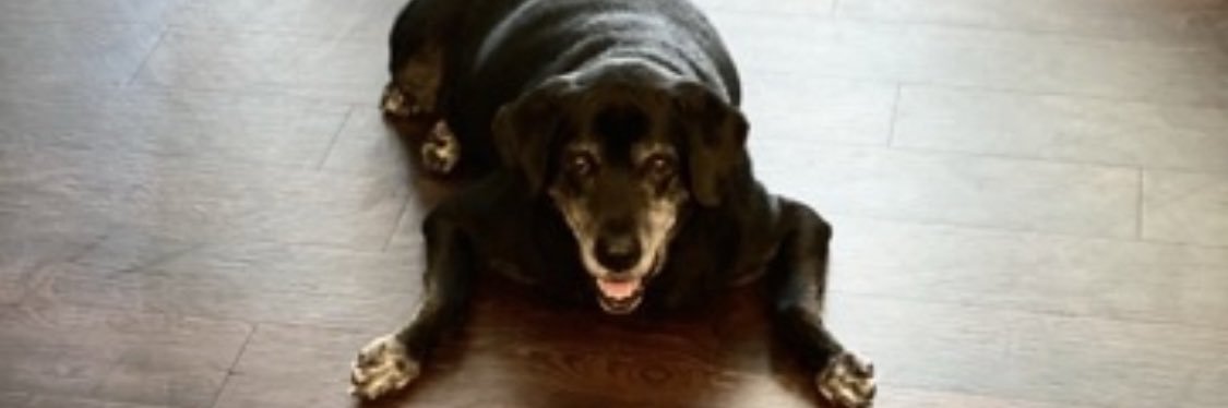trippyqueen17's profile banner image