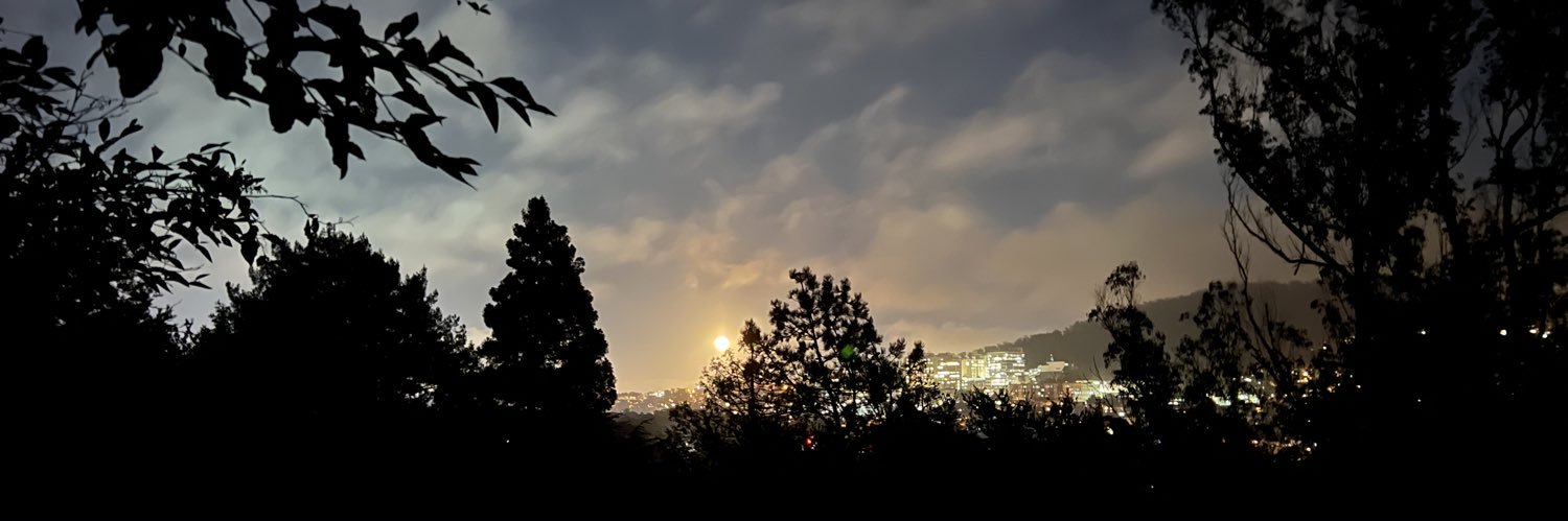 dashosaur's profile banner image