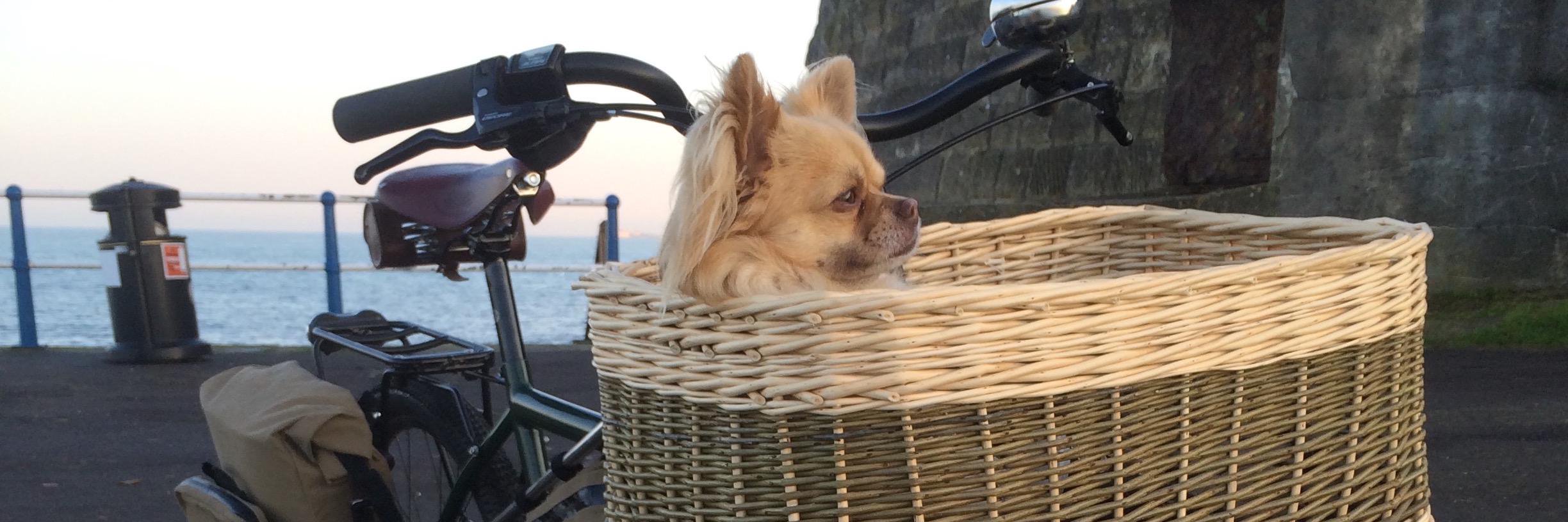 svencycles's profile banner image