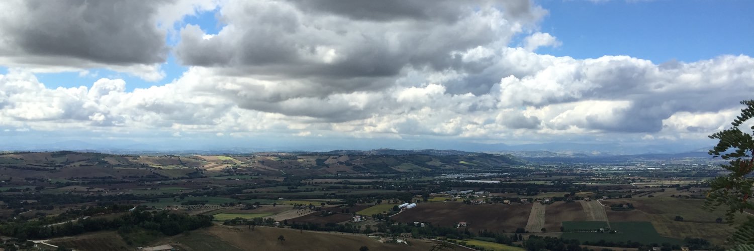manuelmonaldi's profile banner image
