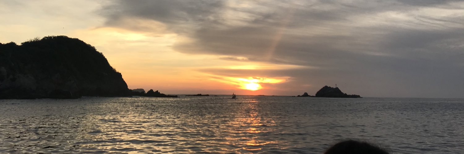 simba091's profile banner image