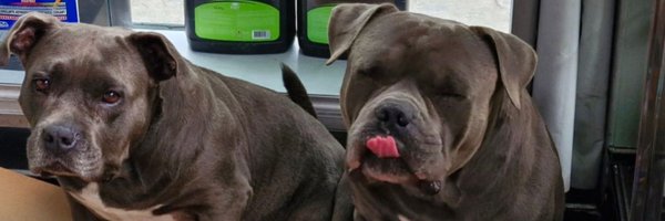 DanielSarcasmo Profile Banner