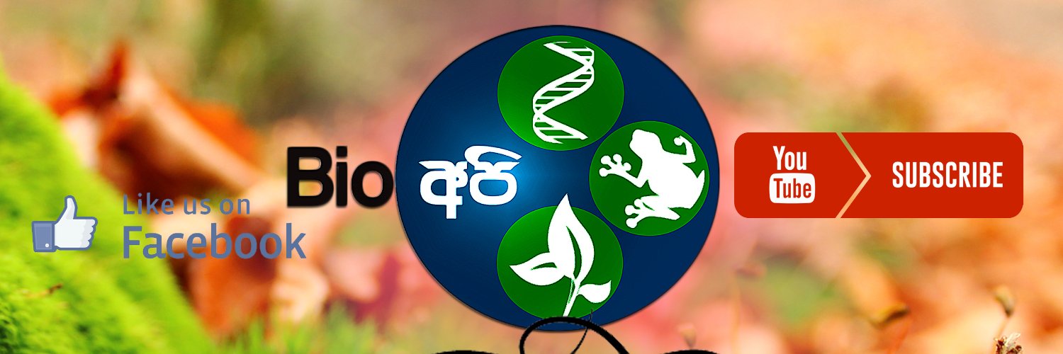 Biologyapi's profile banner image
