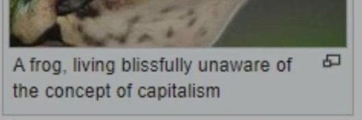 Ultragay banner