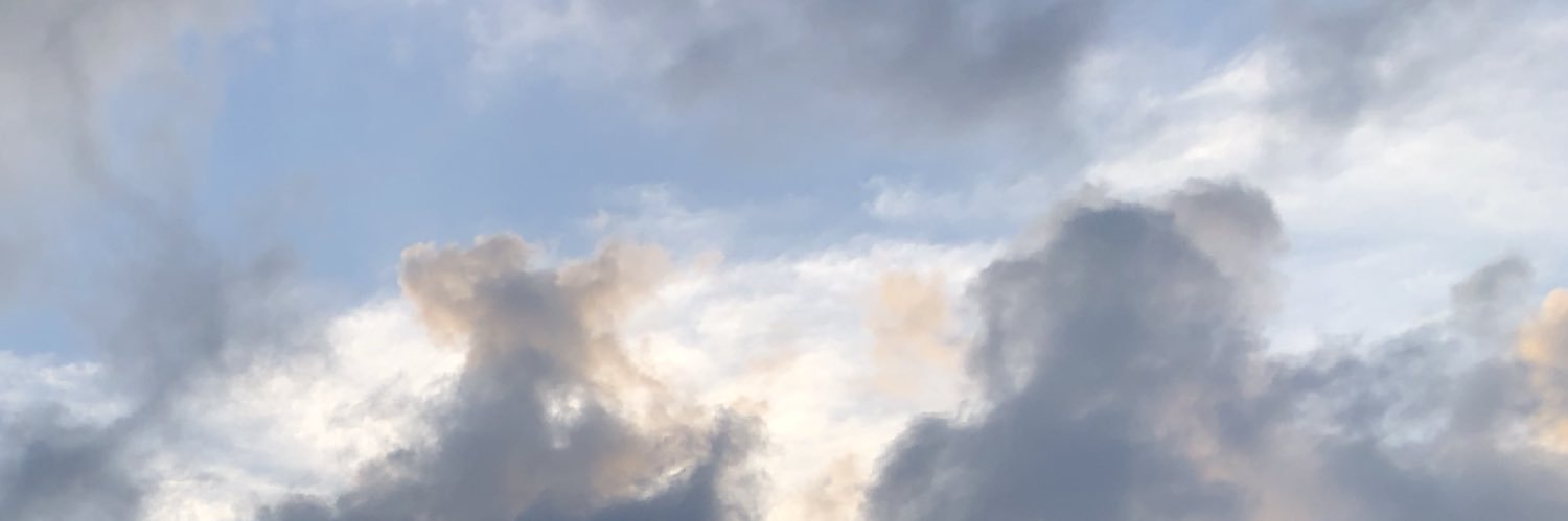 LiQ banner