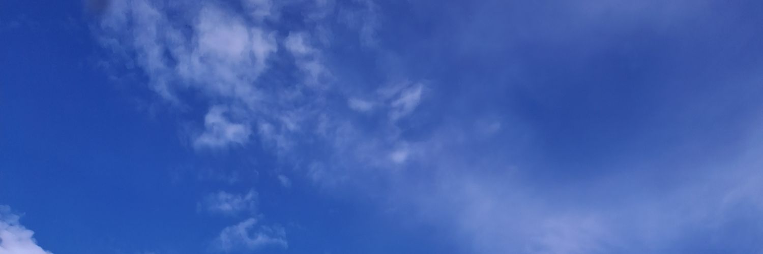 rosypdr8's profile banner image