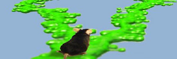 MichaelECahill1 Profile Banner