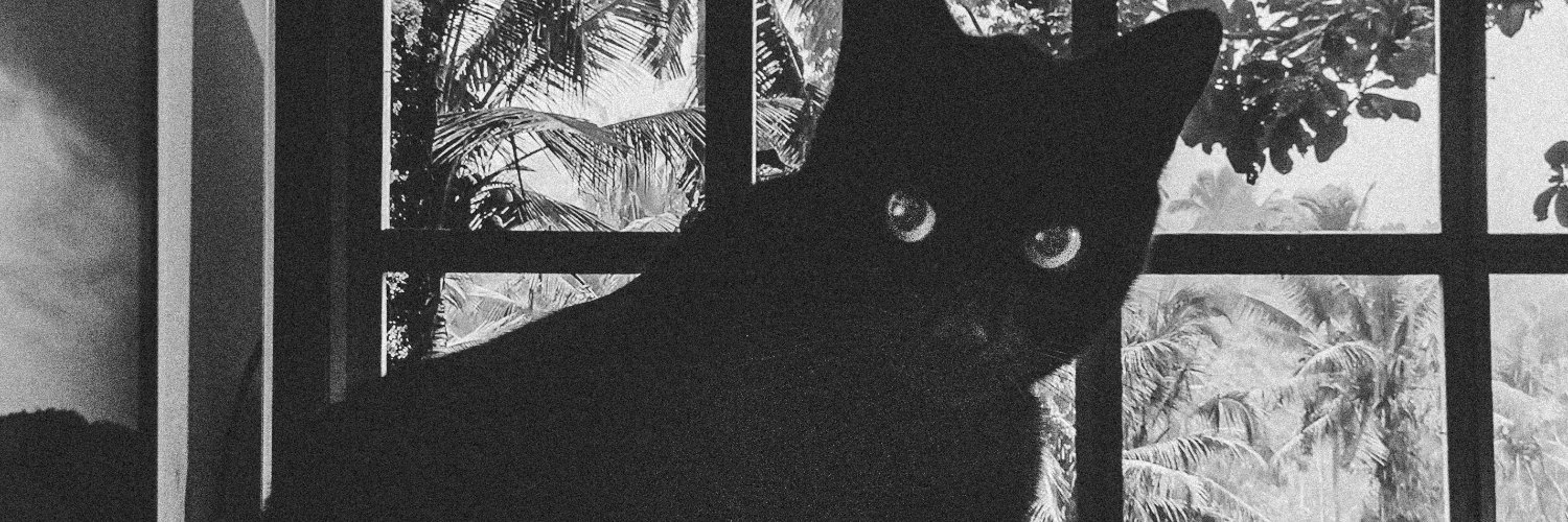 _andovs_'s profile banner image